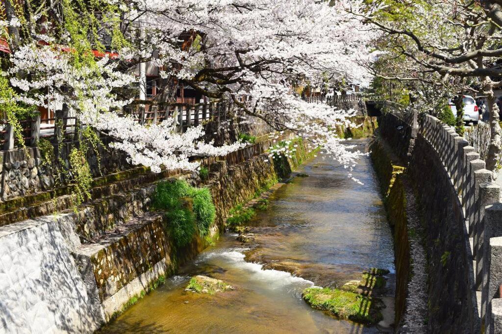 Komorebi/こもれび Takayama  Eksteriør bilde